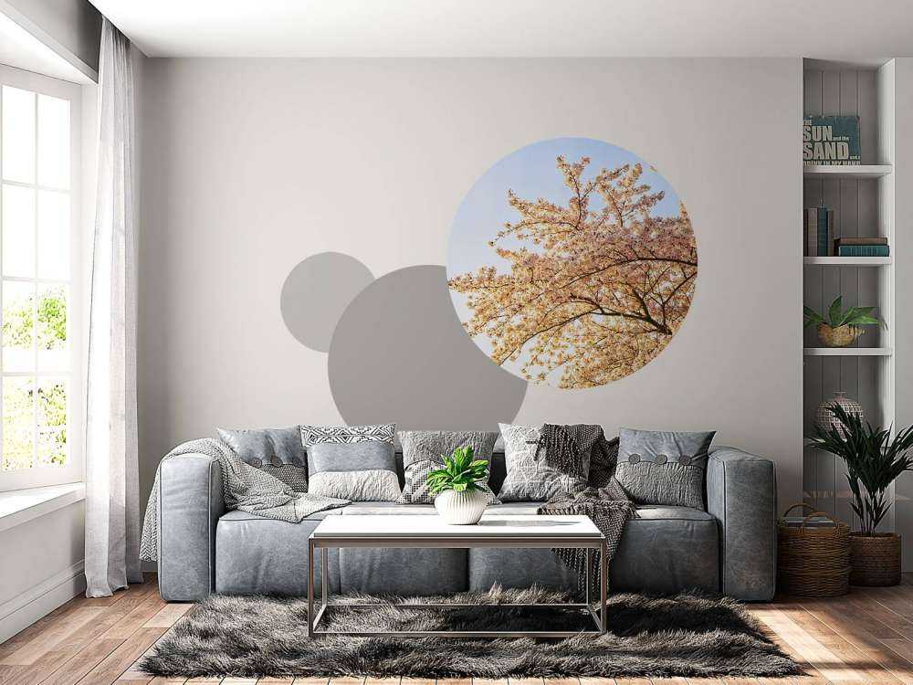 Blossom branch in bloom