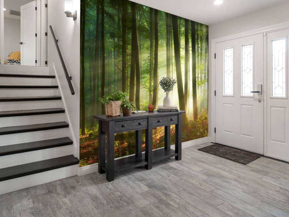 Morning sun among the trees