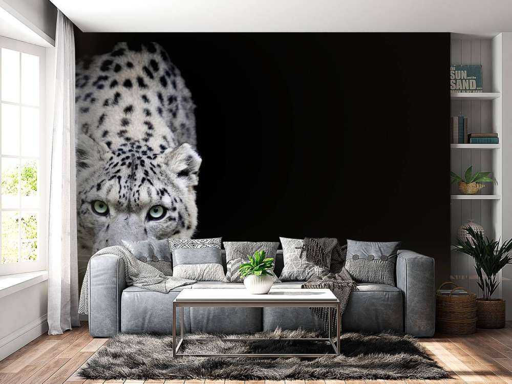 Snow leopard