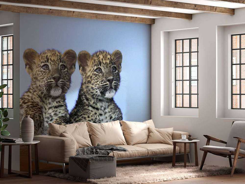 Small leopards