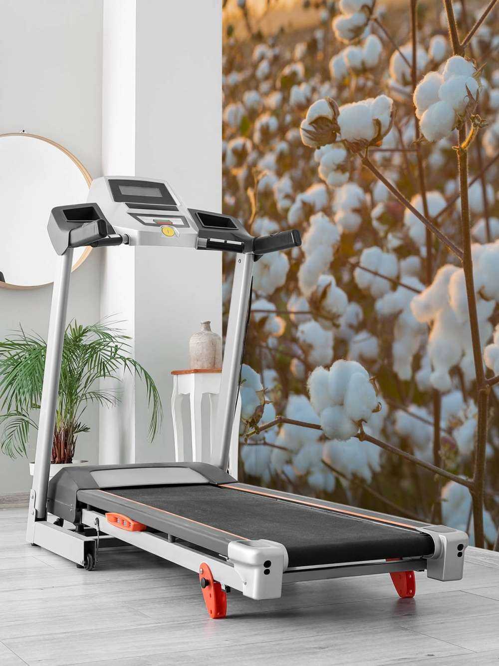 Cotton field with golden yellow sky