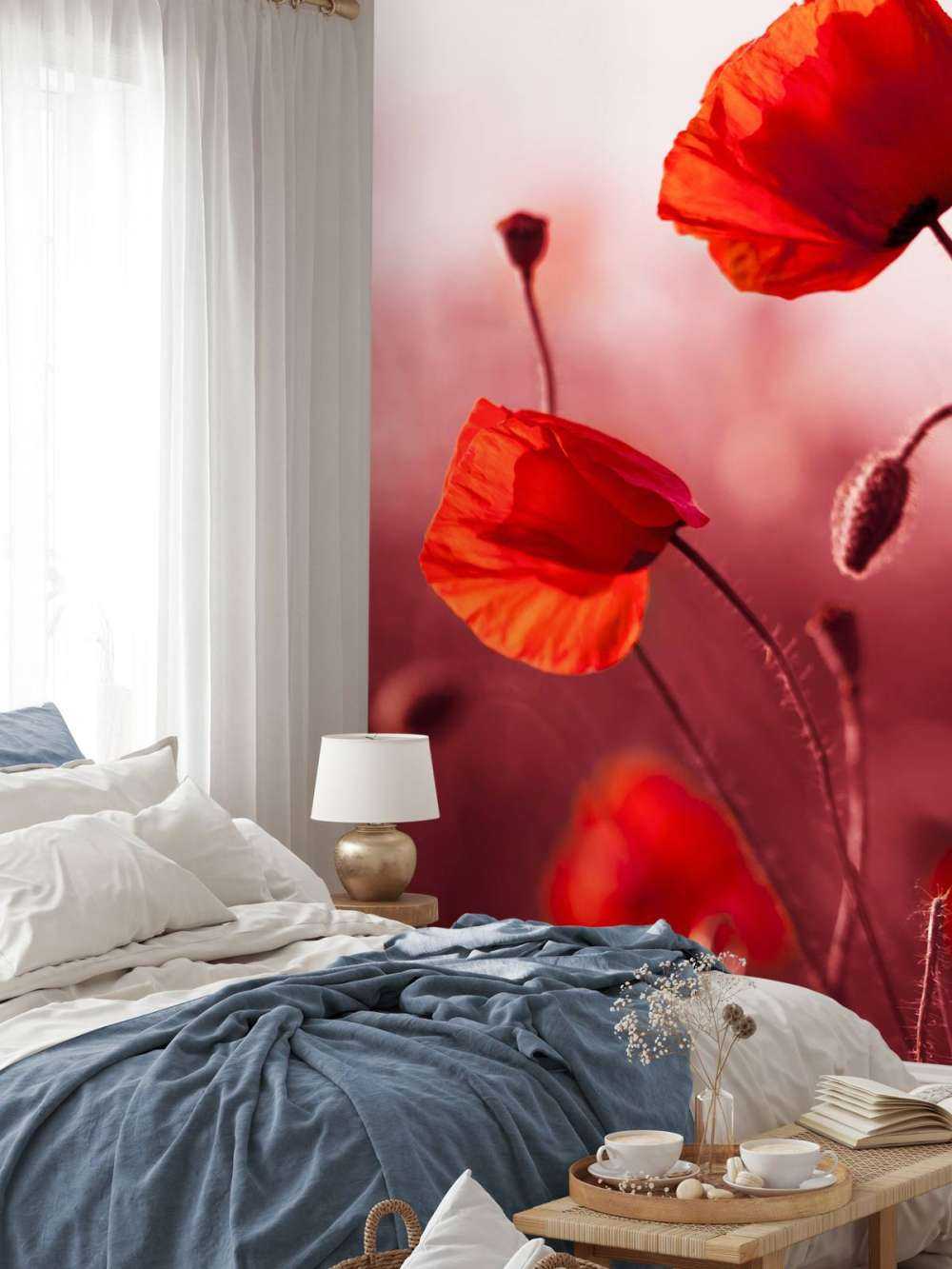 Poppies in the meadow