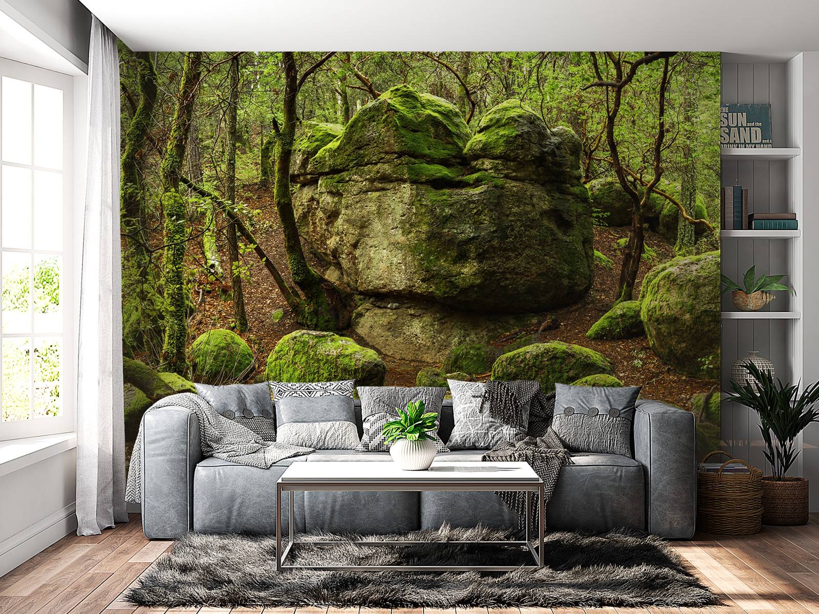Enchanting forest