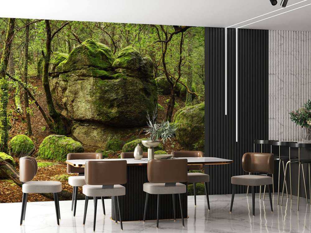 Enchanting forest