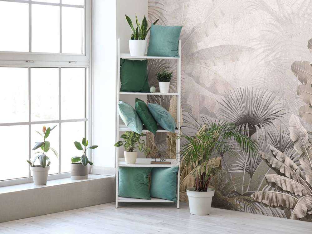 Misty jungle splendor