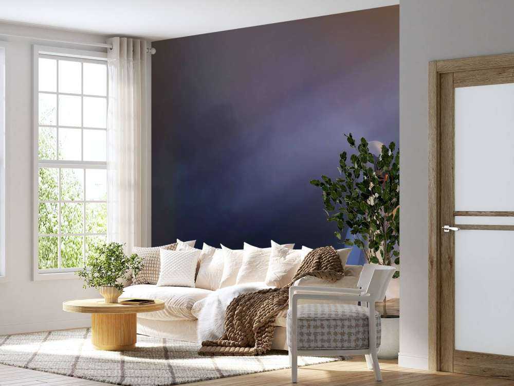 Love couple white swans