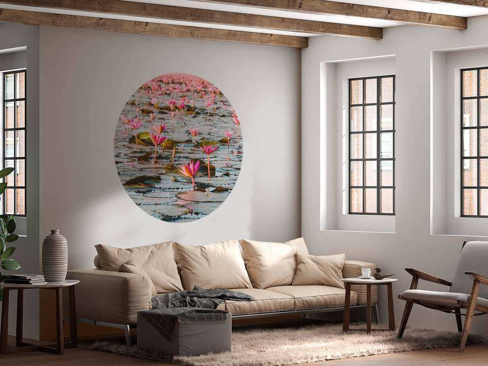 Sea of lotus flowers