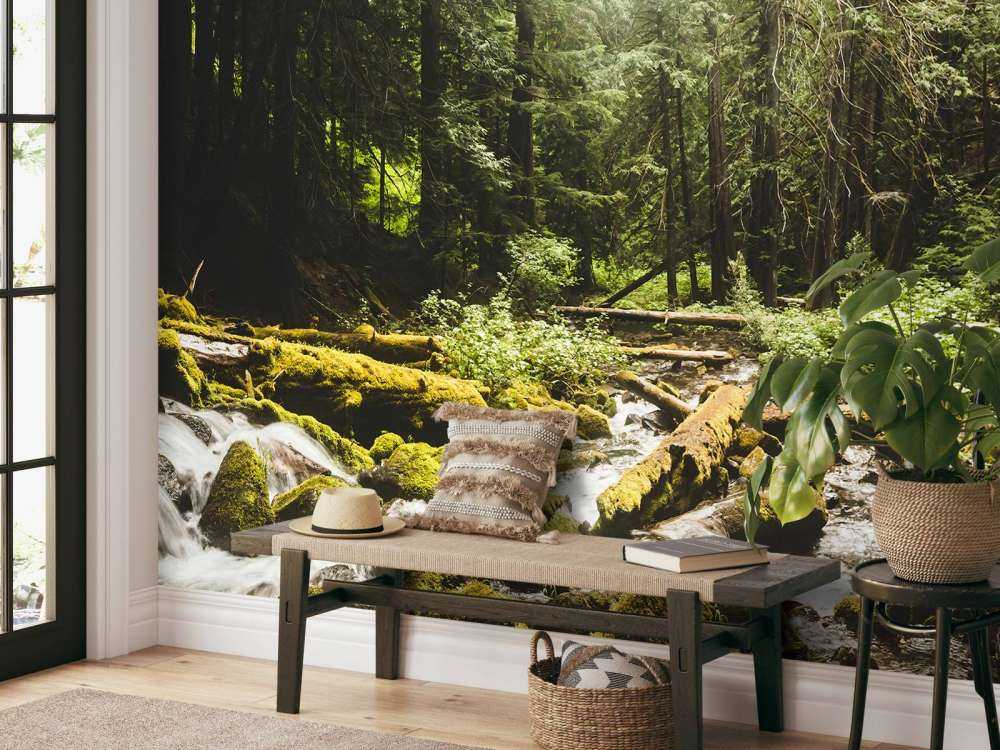 Waterfall in a forest