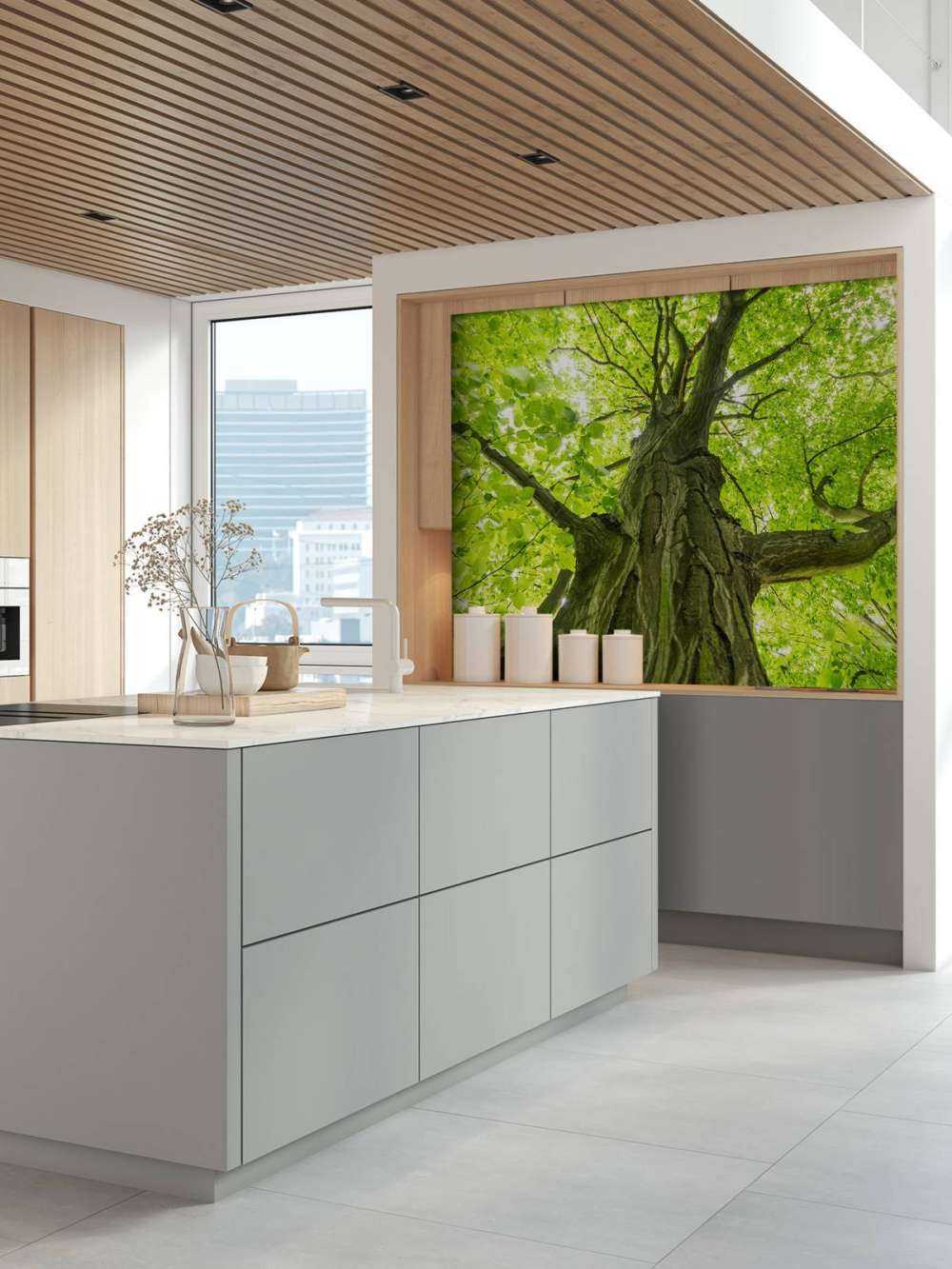 Large tree in the forest