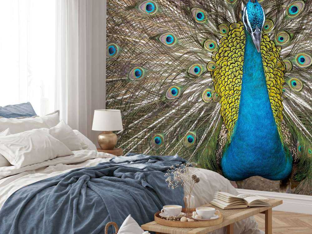 Peacock with stuffed feathers