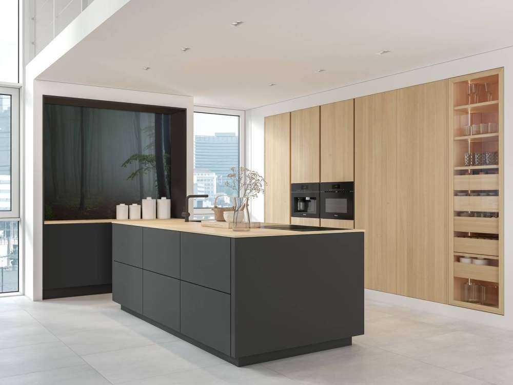 Foggy forest panorama