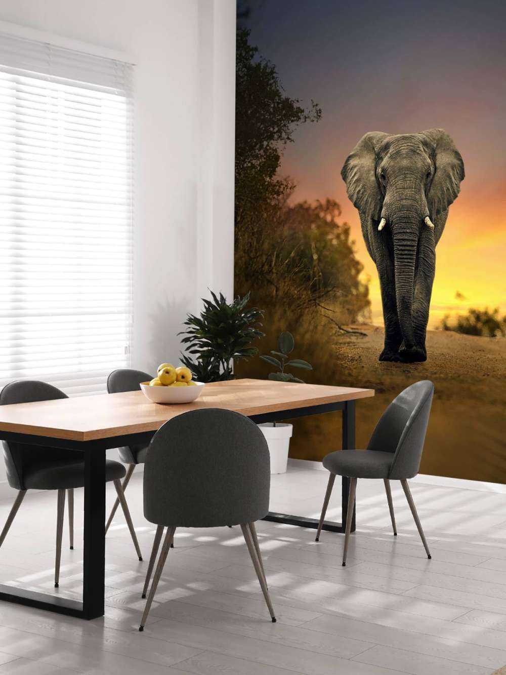 Elephant in the sunset