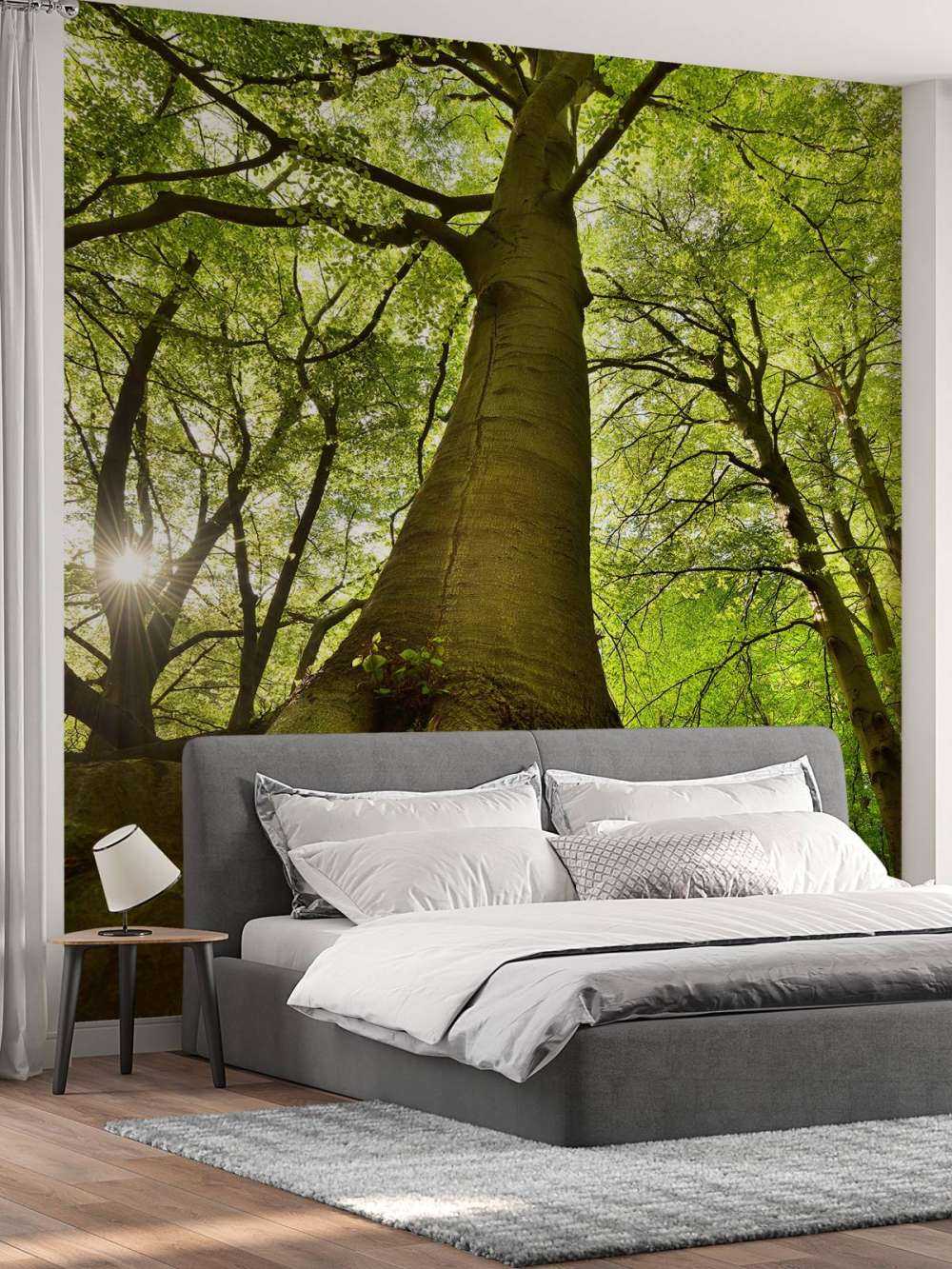 Large tree and roots