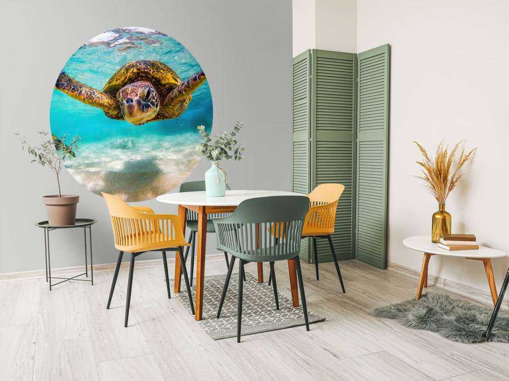 Sea turtle in the ocean