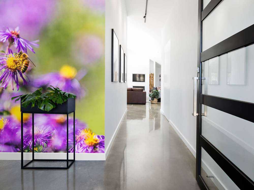 Purple flowers
