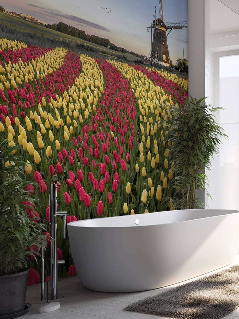 Dutch tulip field