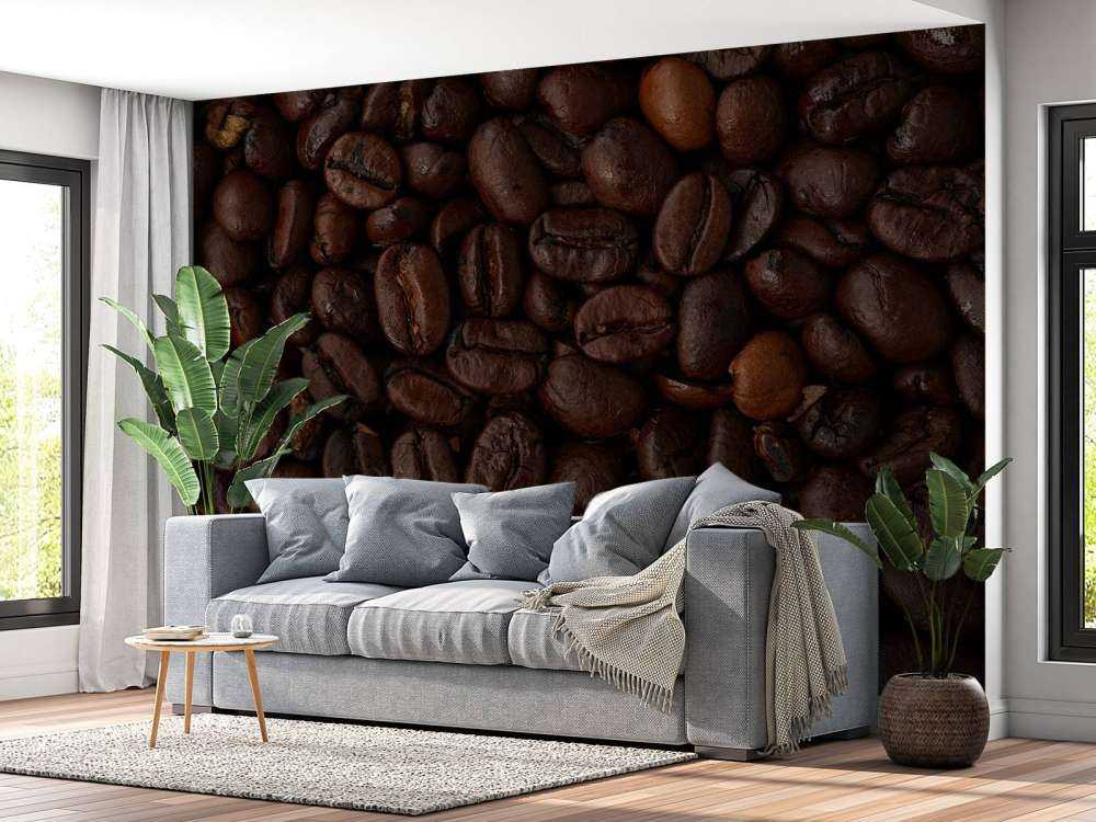 Coffee beans close up