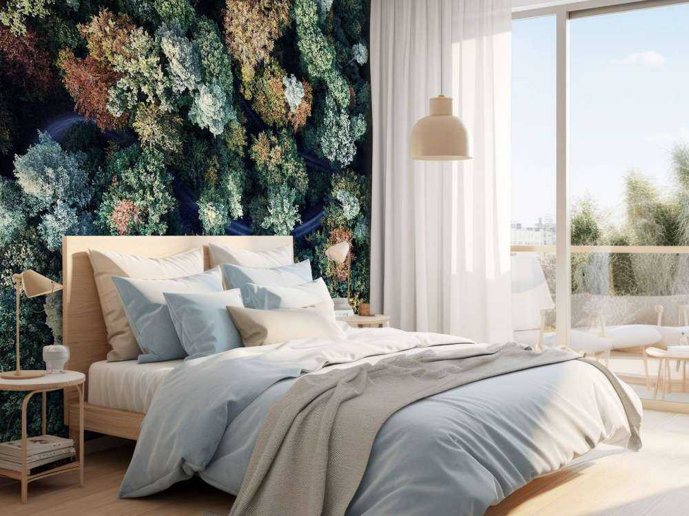 Autumn forest from above