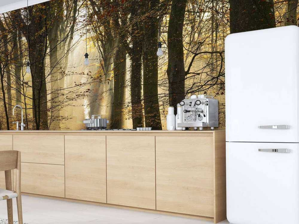 The forest of Crécy