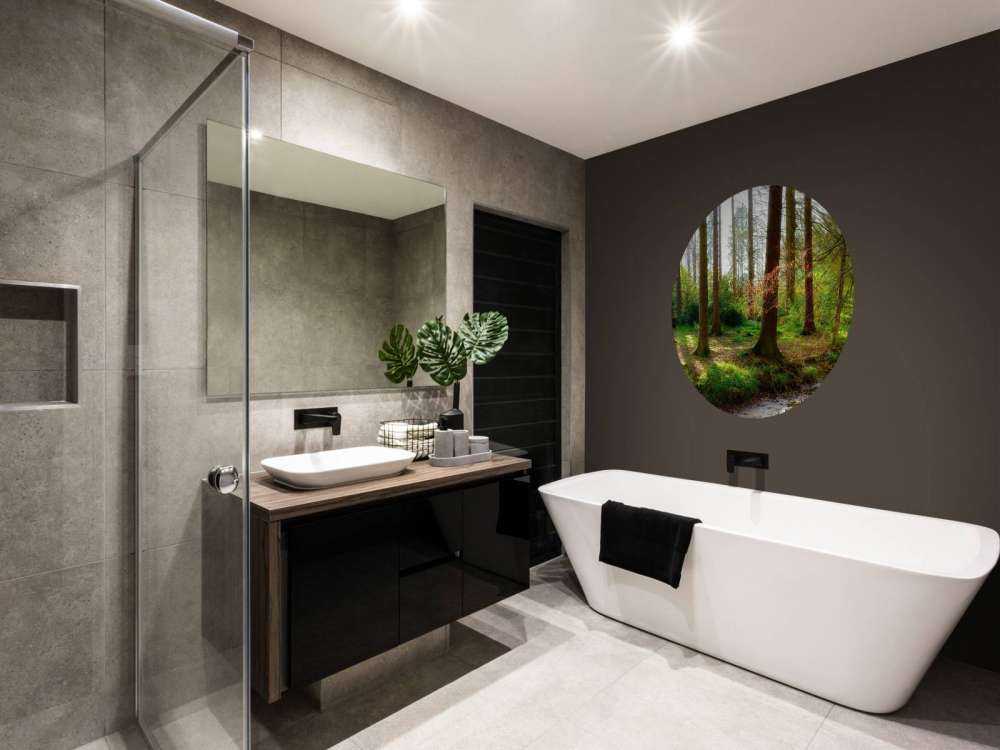 Autumn forest with bright sunlight