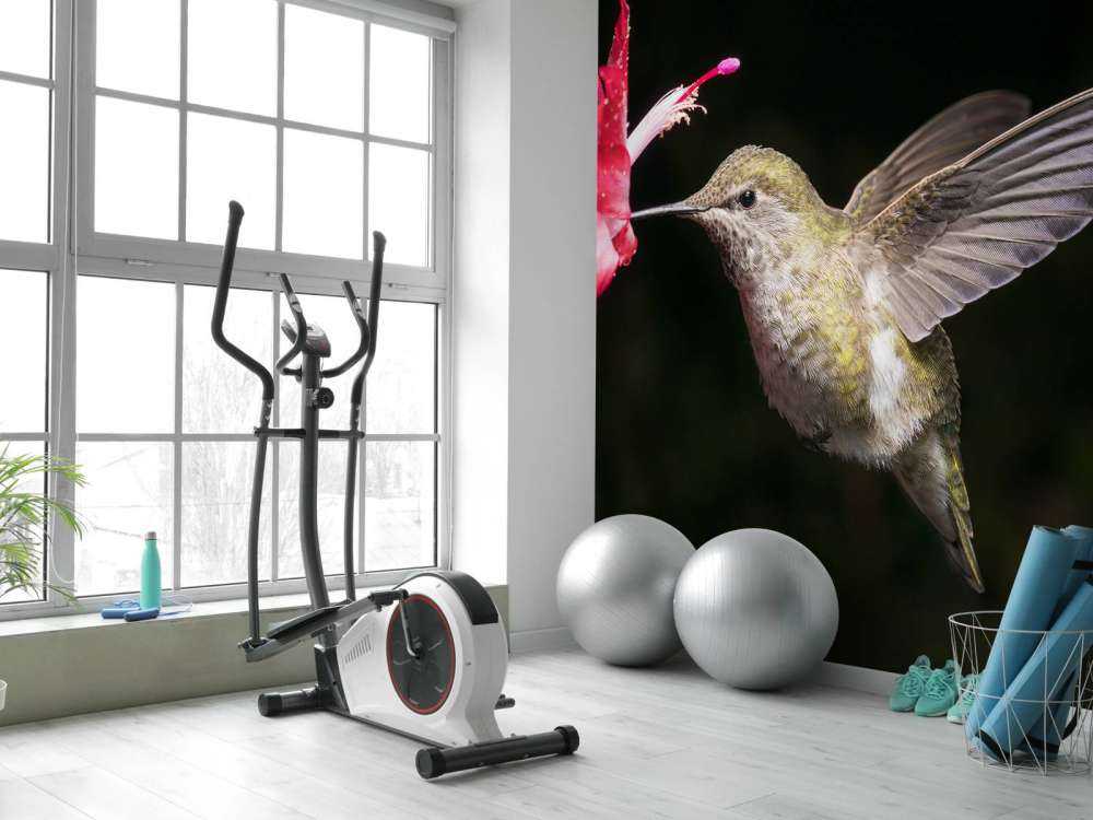 Hummingbird with red flower