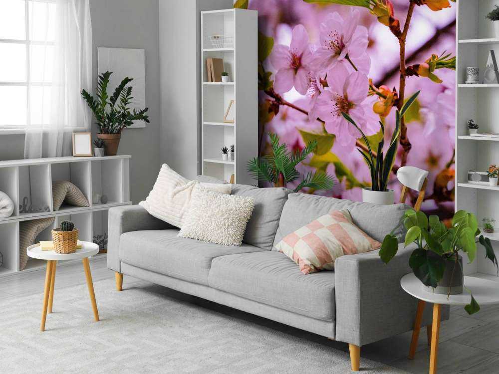 Pink blossoms with petals