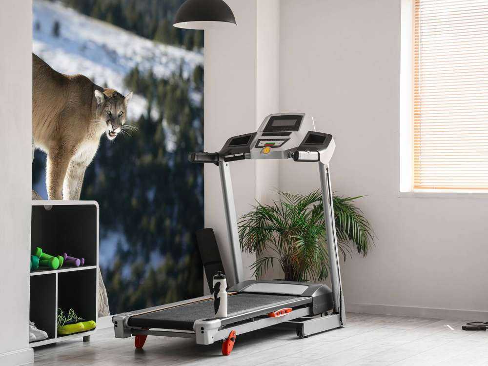 Mountain lion on a dead tree