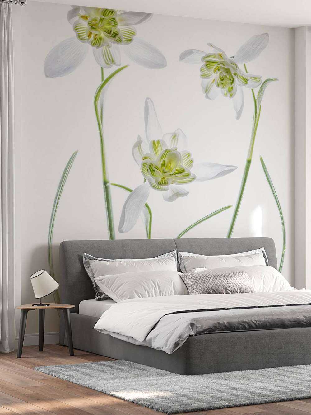 Galanthus Flore Pleno