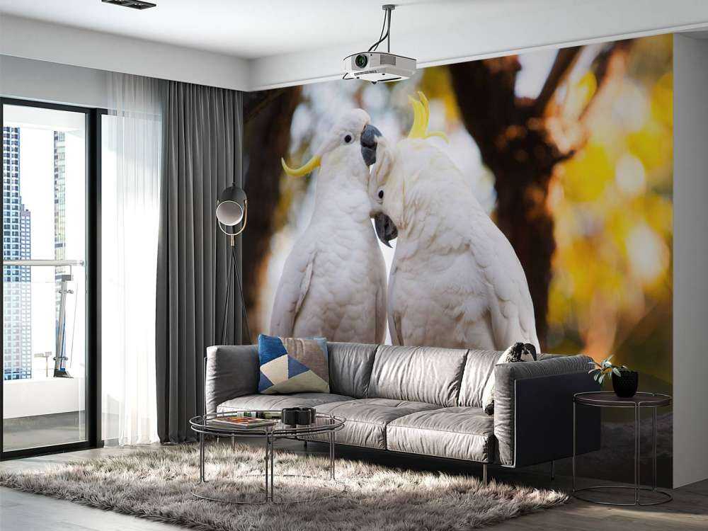 Cockatoo couple