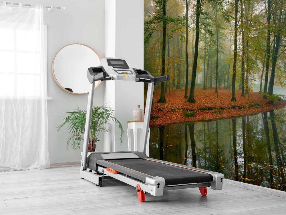 Reflection of trees in pond