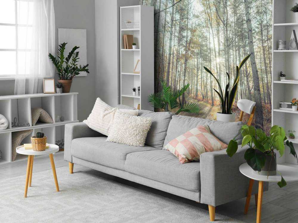 Path through sunny forest