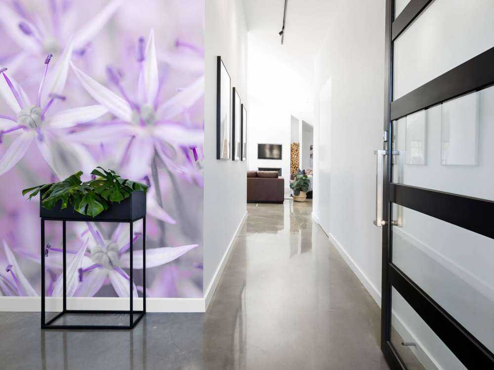 Close-up allium flowers