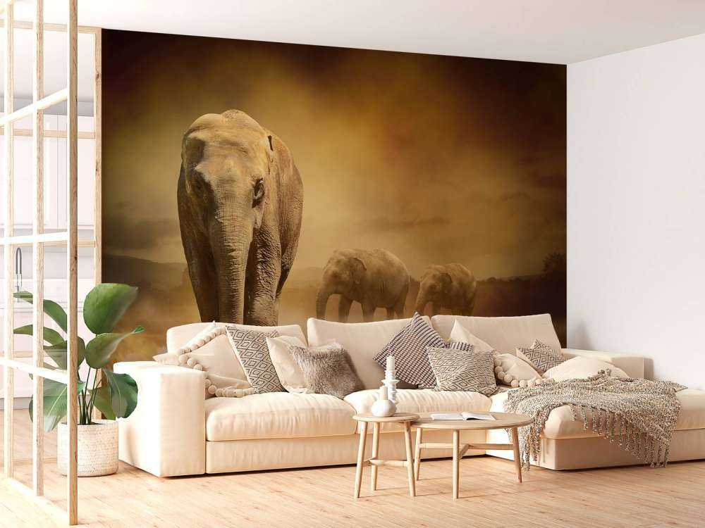 Three elephants