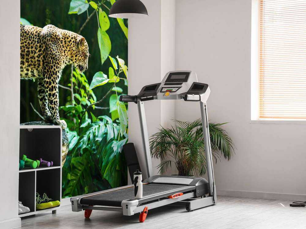 Leopard on a rock face