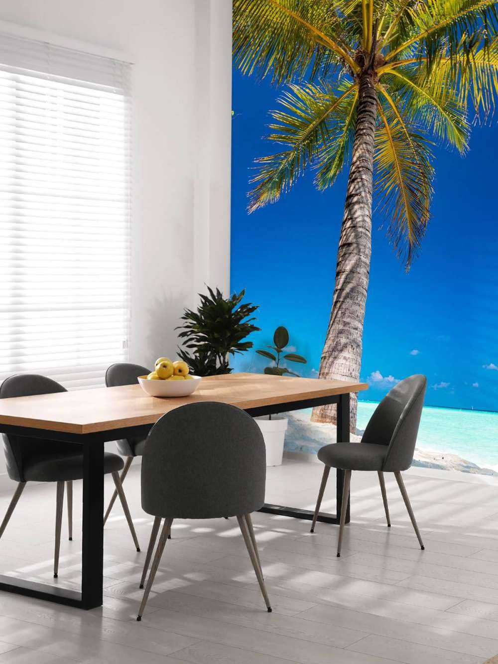 Palm tree in the maldives