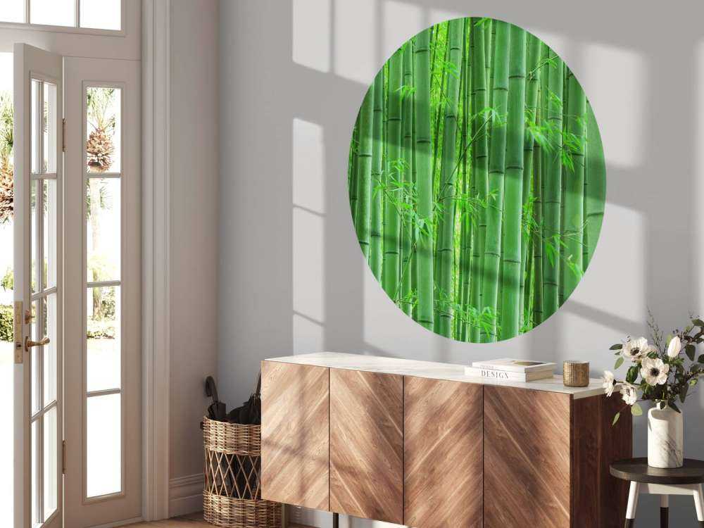 Closeup bamboo forest