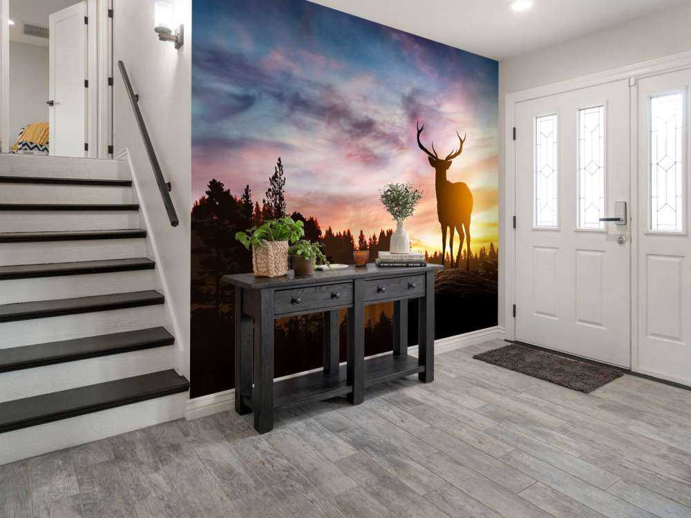 Deer with sunset