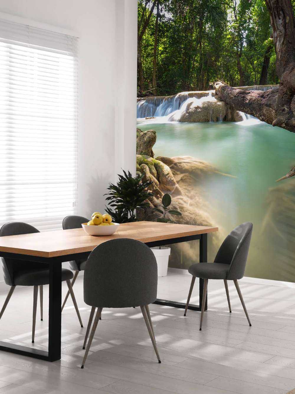 Waterfall in jungle