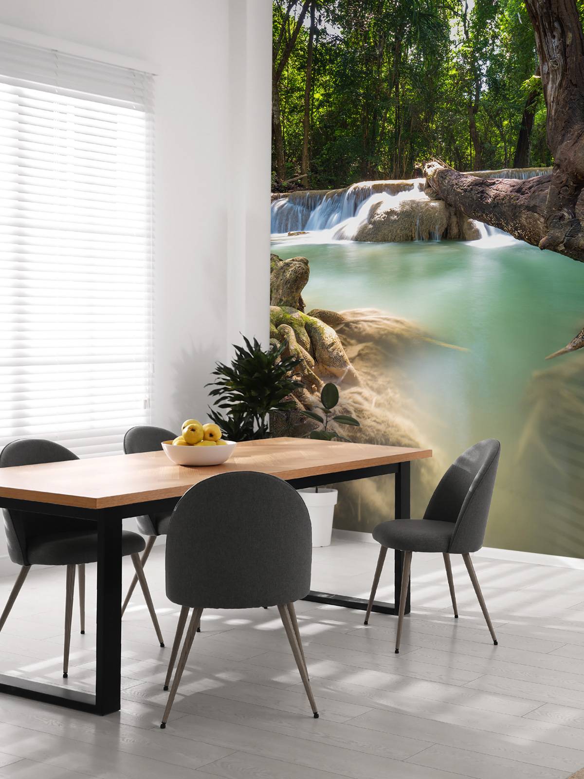 Waterfall in jungle