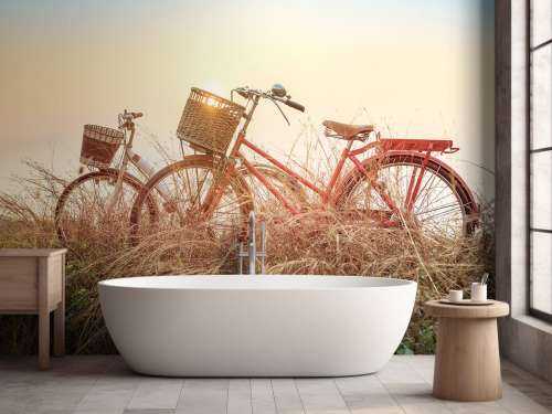Vintage bikes