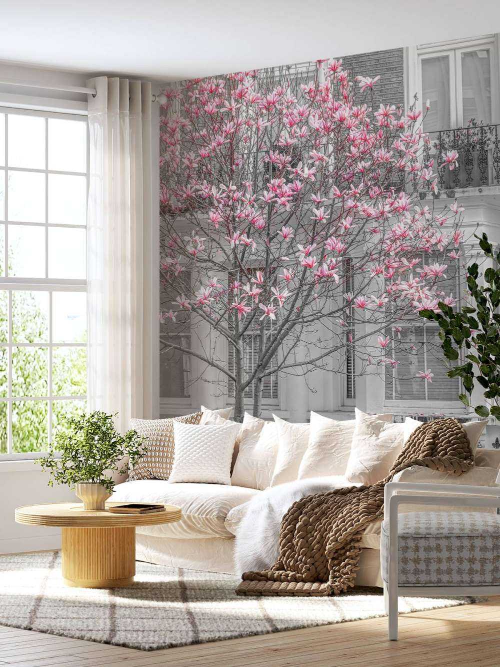 Flowering magnolia tree