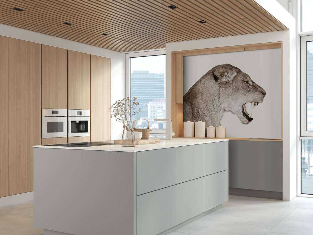 Lioness side view offwhite