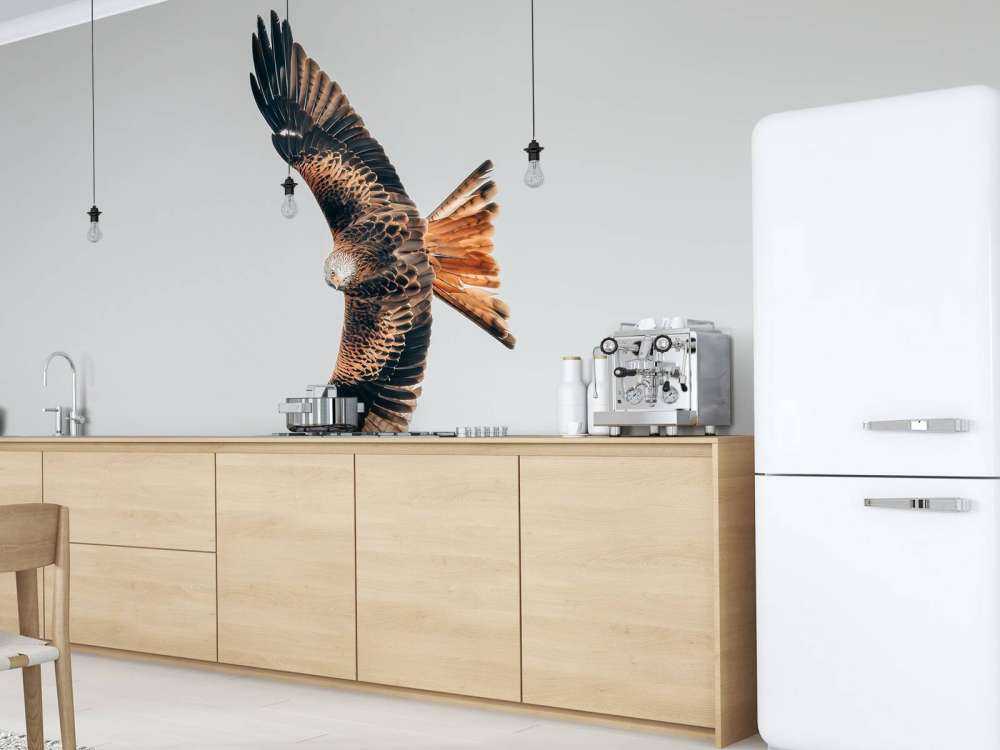 Red kite with wings spread