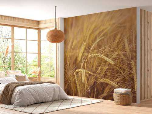Wheat Field