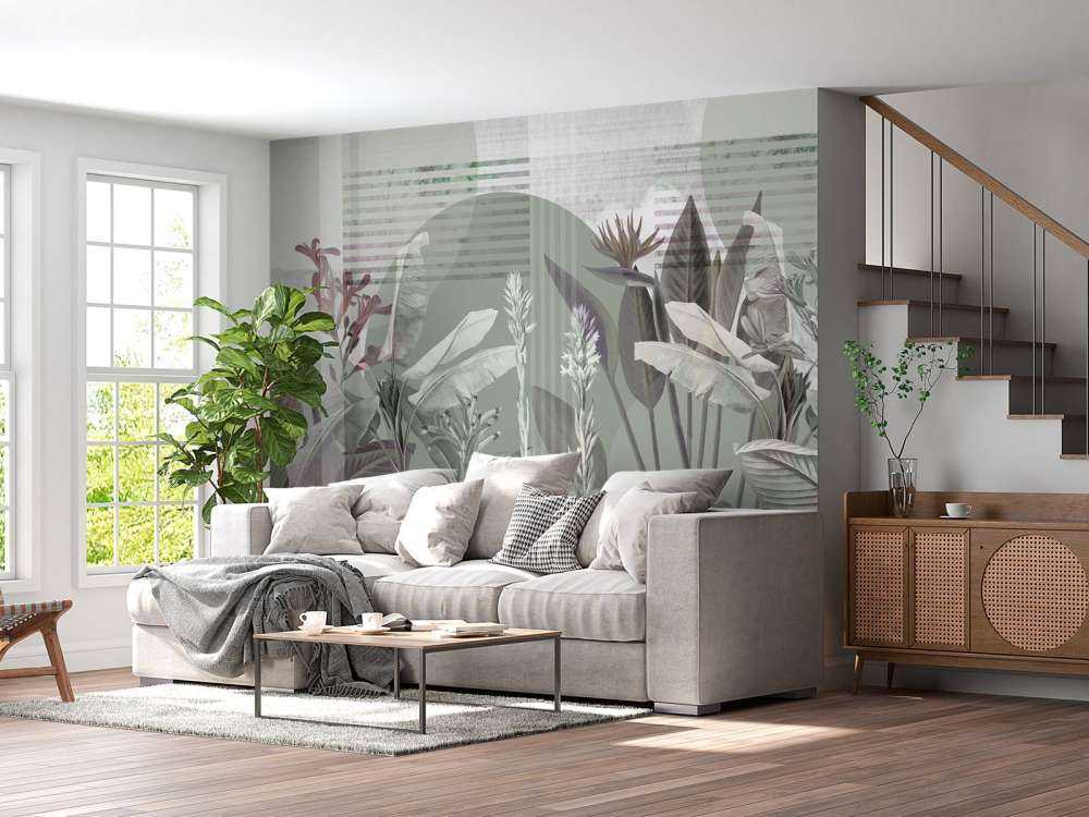 Dreams and Tropics 2