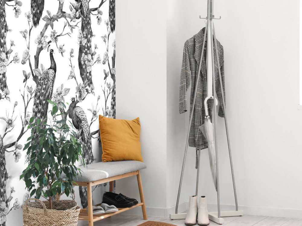 Monochrome Peacock Splendor