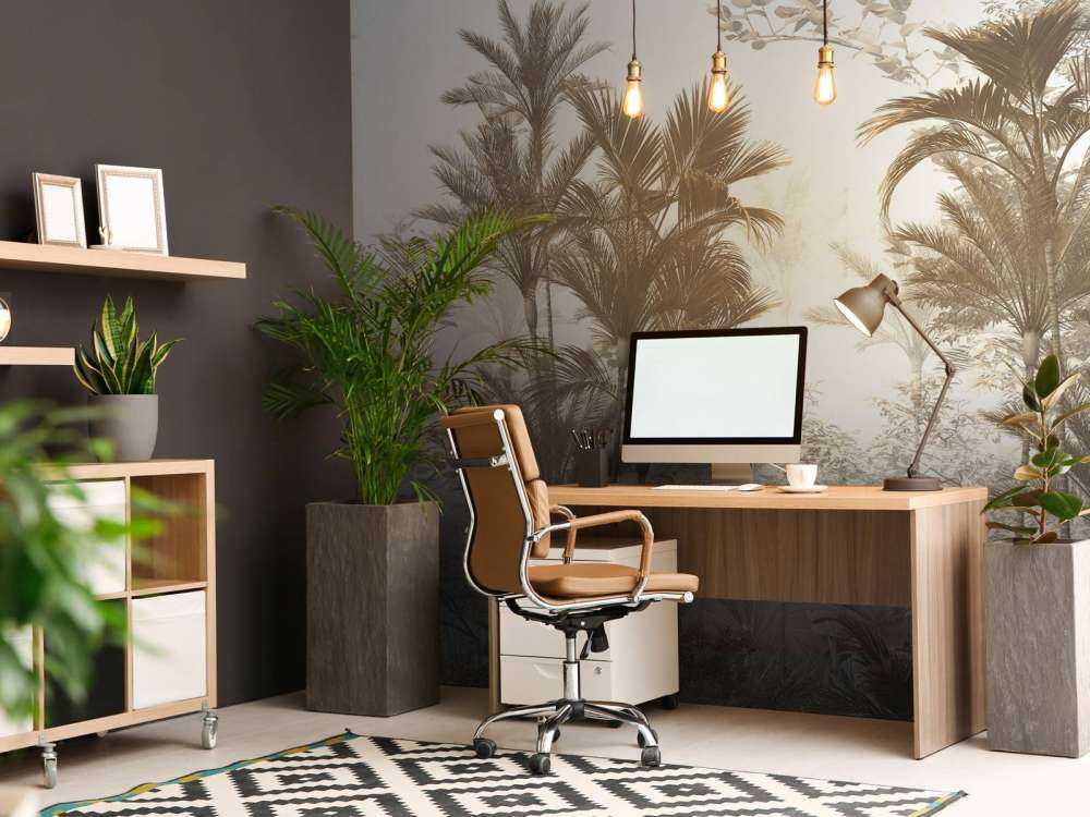 Sunlight through Palms