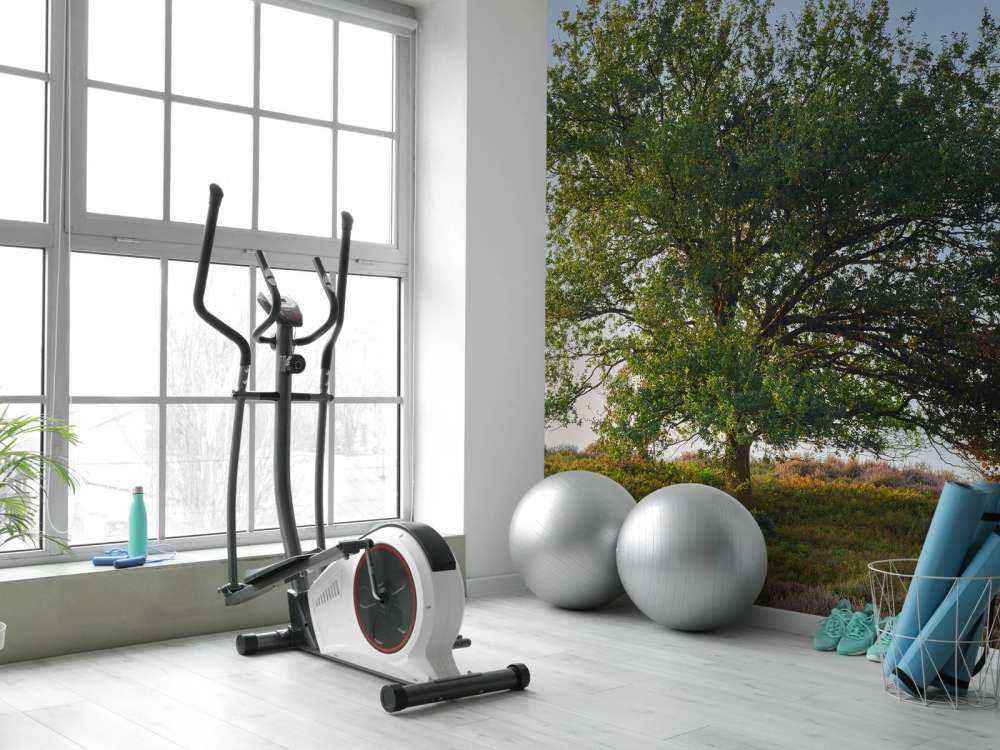 Lonely tree on the heath