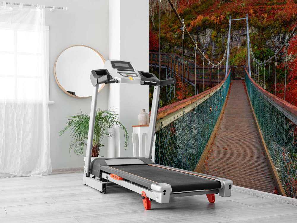 Bridge in autumn setting