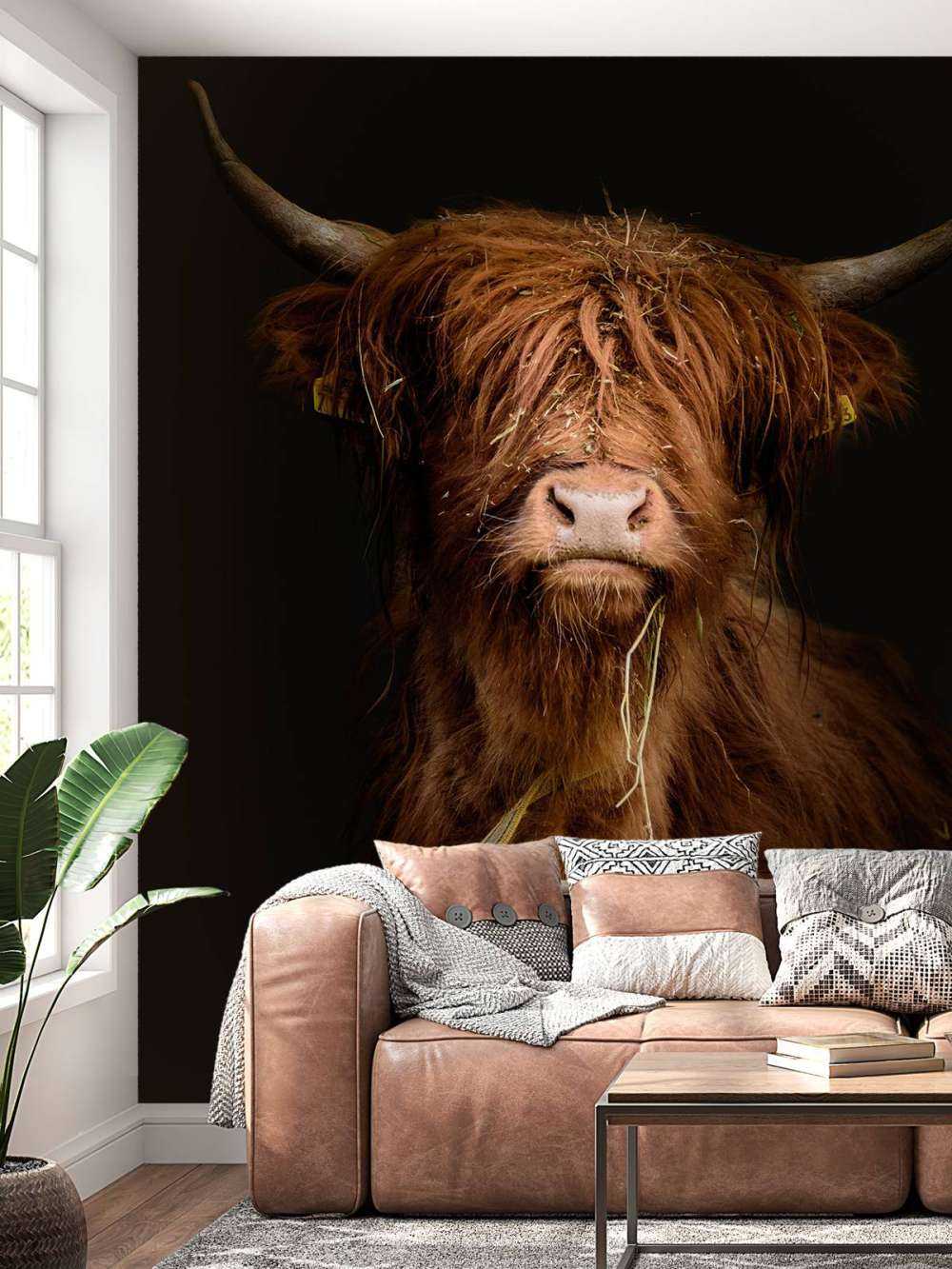 Portrait&#x20;Scottish&#x20;Highlander